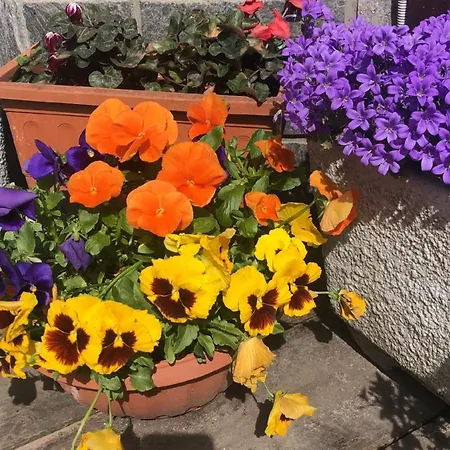 San Luigi - & Couette-café